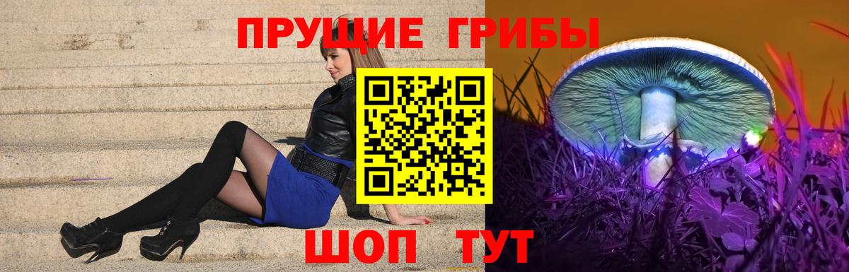 Псилоцибиновые грибы MAGIC MUSHROOMS  Галлюциногенные грибы Psilocybe  Вход с VPN  Мариинск 